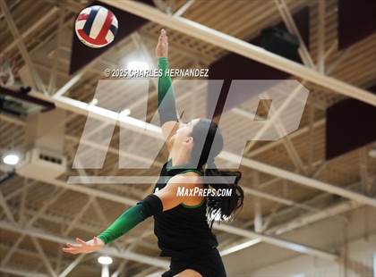 Thumbnail 1 in Rudder @ A&M Consolidated photogallery.