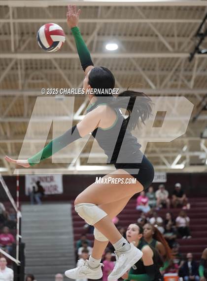Thumbnail 1 in Rudder @ A&M Consolidated photogallery.