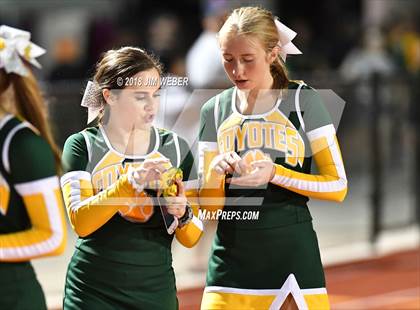 Thumbnail 1 in Pasco @ Cypress Creek photogallery.