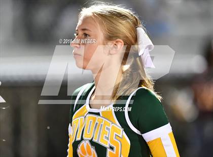 Thumbnail 2 in Pasco @ Cypress Creek photogallery.