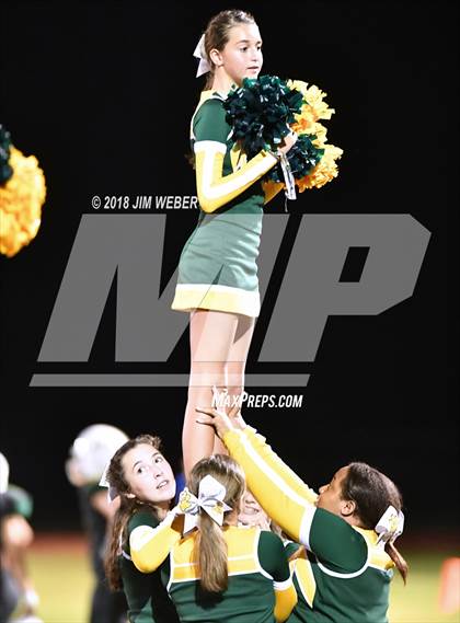 Thumbnail 3 in Pasco @ Cypress Creek photogallery.