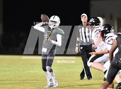 Thumbnail 1 in Pasco @ Cypress Creek photogallery.