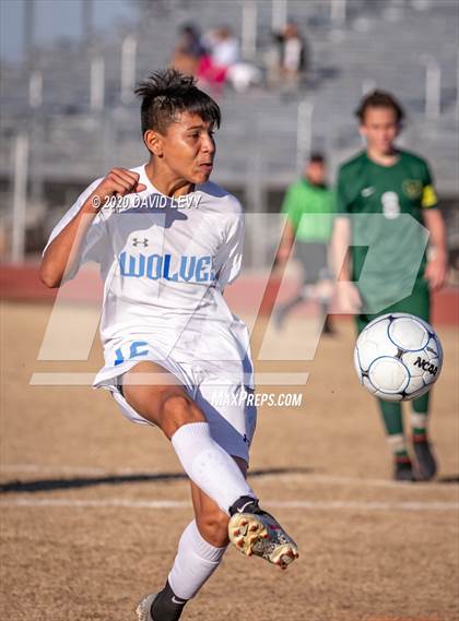 Thumbnail 3 in Chandler @ Basha photogallery.