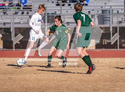 Thumbnail 2 in Chandler @ Basha photogallery.