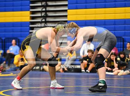 Thumbnail 2 in Klein Oak @ Klein photogallery.