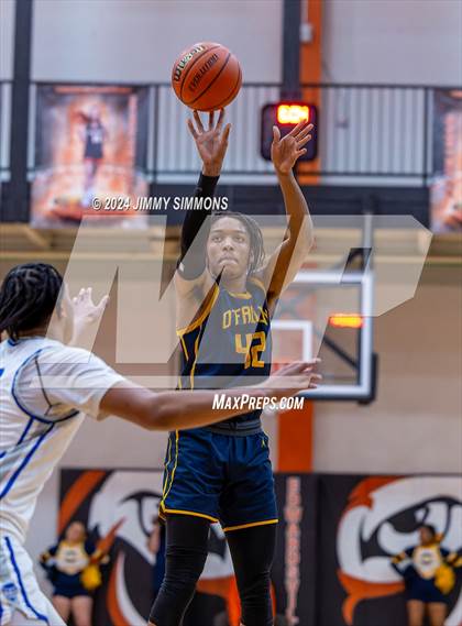 Thumbnail 1 in Quincy vs. O'Fallon(IHSA 4A Sectional Semifinals) photogallery.