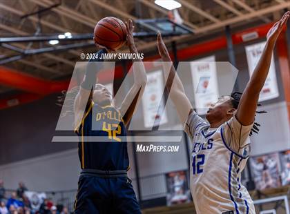 Thumbnail 3 in Quincy vs. O'Fallon(IHSA 4A Sectional Semifinals) photogallery.
