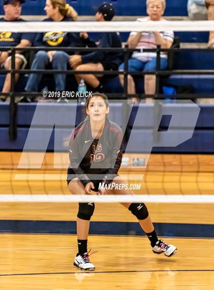Thumbnail 1 in Land O' Lakes vs. Lake Gibson photogallery.
