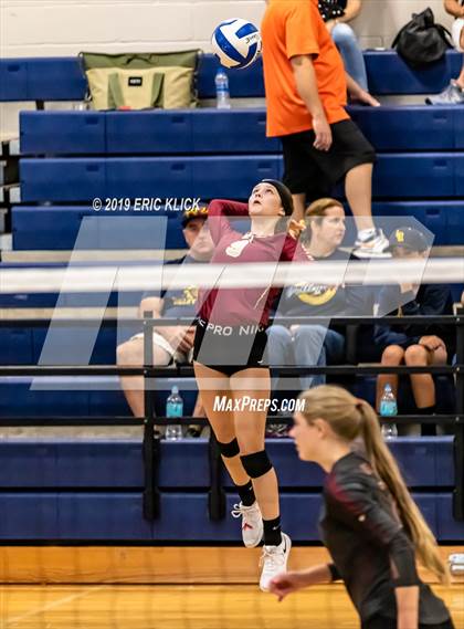 Thumbnail 1 in Land O' Lakes vs. Lake Gibson photogallery.
