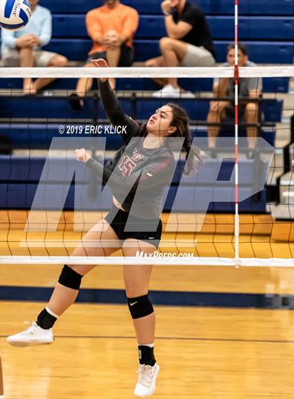 Thumbnail 1 in Land O' Lakes vs. Lake Gibson photogallery.