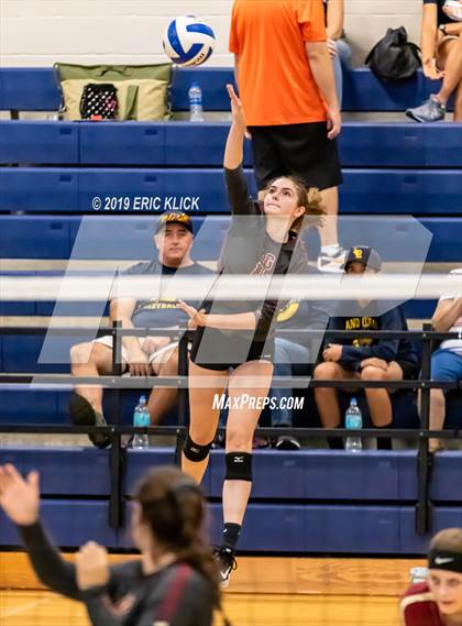 Thumbnail 3 in Land O' Lakes vs. Lake Gibson photogallery.