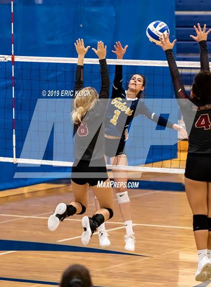 Thumbnail 1 in Land O' Lakes vs. Lake Gibson photogallery.