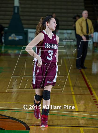 Thumbnail 1 in Rush-Henrietta vs. Ossining (NYSPHSAA Class AA Final) photogallery.