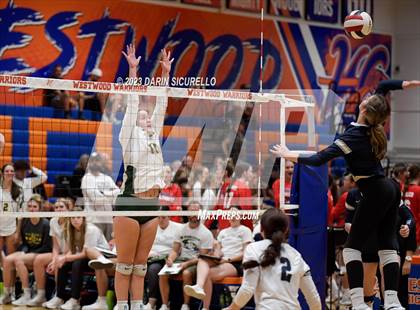 Thumbnail 3 in Horizon vs. American Leadership Academy - Gilbert North (Westwood Tournament of Champions) photogallery.