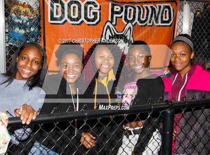 Thumbnail 2 in Harlem @ Guilford photogallery.