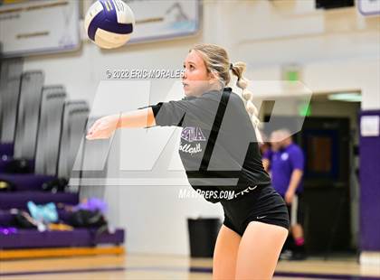 Thumbnail 2 in El Capitan @ Santana photogallery.