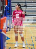 Photo from the gallery "Mountain View @ Westwood"