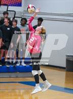 Photo from the gallery "Mountain View @ Westwood"