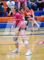 Photo from the gallery "Mountain View @ Westwood"