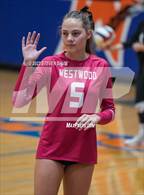 Photo from the gallery "Mountain View @ Westwood"