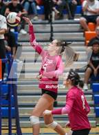 Photo from the gallery "Mountain View @ Westwood"