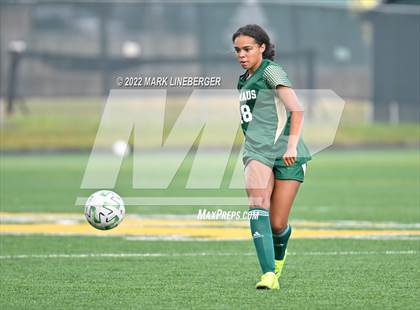 Thumbnail 1 in Southern Lehigh vs Emmaus photogallery.