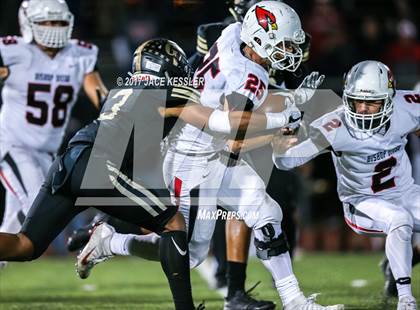 Thumbnail 1 in Golden Valley vs. Bishop Diego (CIFSS Div 6 Final) photogallery.