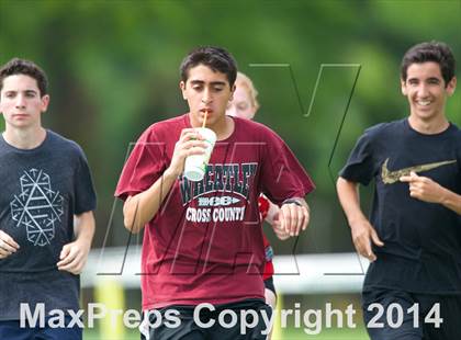 Thumbnail 3 in Section 8 Class Track and Field Championships (Boys) photogallery.