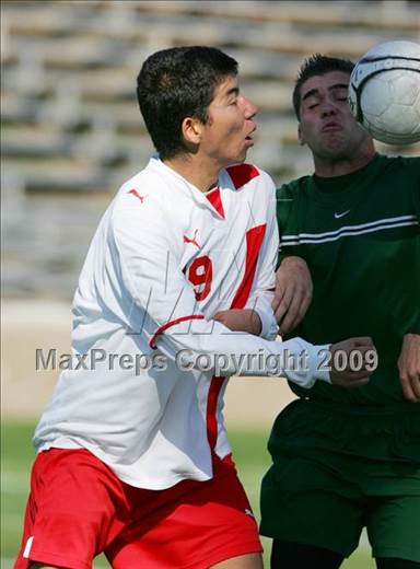 null - Photo 11