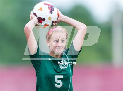 Thumbnail 3 in Greeneville @ Dobyns-Bennett photogallery.