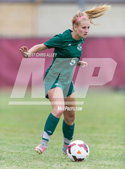 Thumbnail 1 in Greeneville @ Dobyns-Bennett photogallery.