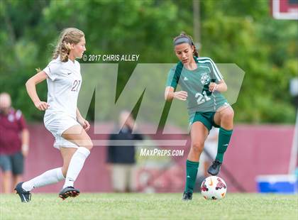 Thumbnail 1 in Greeneville @ Dobyns-Bennett photogallery.