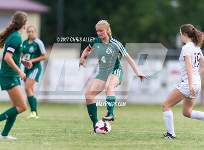 Thumbnail 3 in Greeneville @ Dobyns-Bennett photogallery.