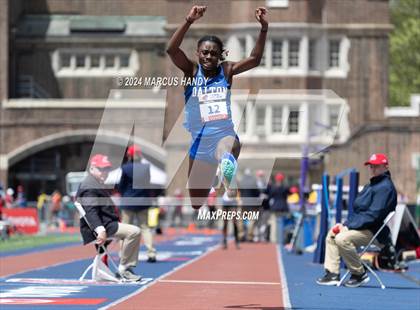 Thumbnail 1 in Penn Relays (Triple Jump) photogallery.