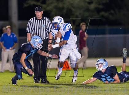 Thumbnail 3 in Jesuit @ Newsome photogallery.