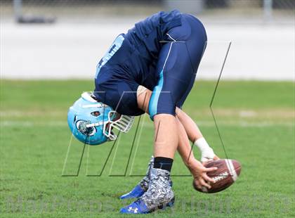 Thumbnail 1 in Jesuit @ Newsome photogallery.