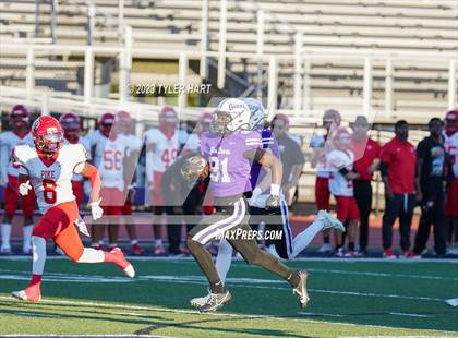 Thumbnail 1 in Pike @ Ben Davis photogallery.