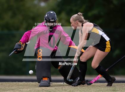 Thumbnail 3 in Chapel Hill @ Carrboro photogallery.