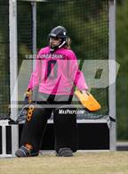 Photo from the gallery "Chapel Hill @ Carrboro"