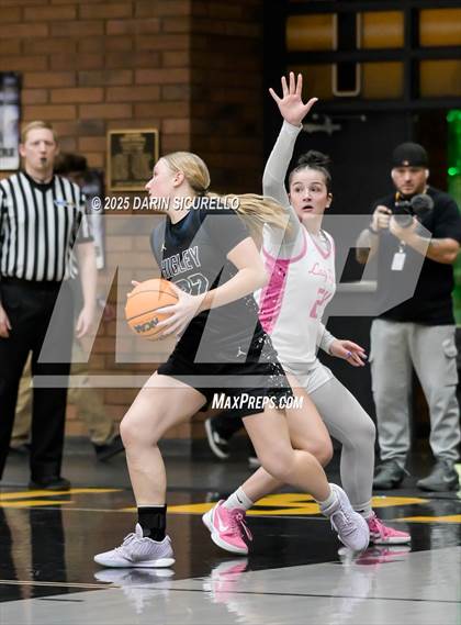 Thumbnail 3 in Higley vs Gilbert (AIA 6A Quarterfinal) photogallery.