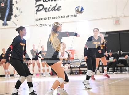 Thumbnail 2 in Torrey Pines @ Archbishop Mitty (Durango Fall Classic) photogallery.