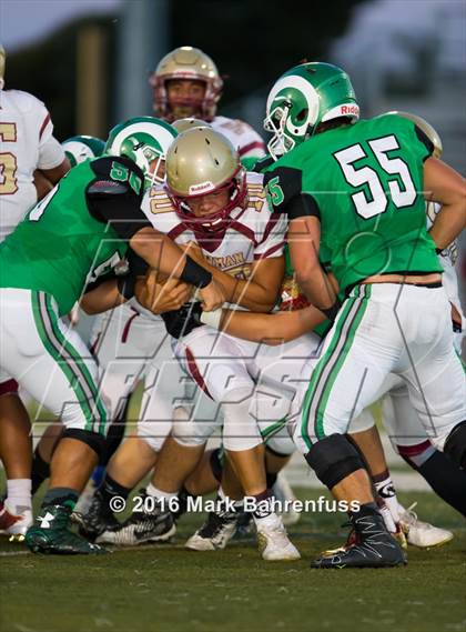 Thumbnail 3 in Cardinal Newman @ St. Mary's photogallery.