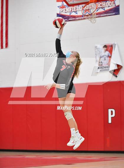 Thumbnail 3 in Victor @ Penfield photogallery.