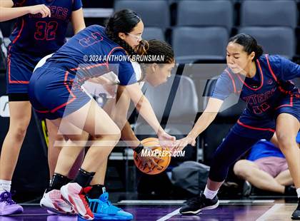 Thumbnail 1 in Montgomery vs Oakland (CIF State D5 Final) photogallery.
