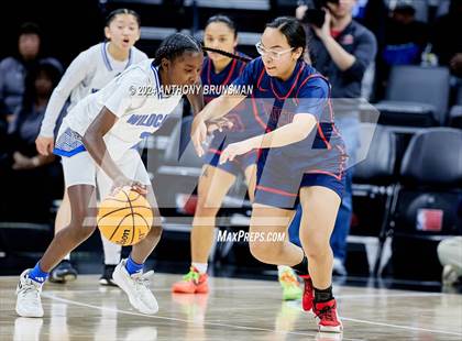 Thumbnail 3 in Montgomery vs Oakland (CIF State D5 Final) photogallery.