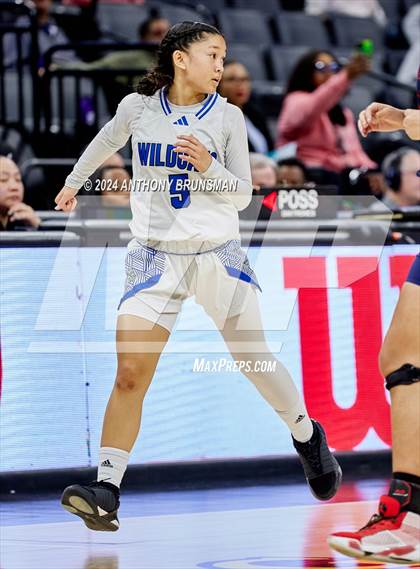 Thumbnail 1 in Montgomery vs Oakland (CIF State D5 Final) photogallery.