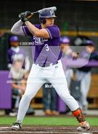 Photo from the gallery "Turner @ Piper"