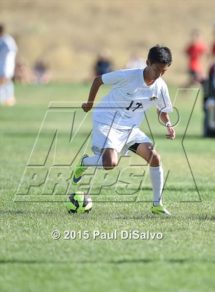 Thumbnail 3 in Rangeview @ Mountain Vista photogallery.