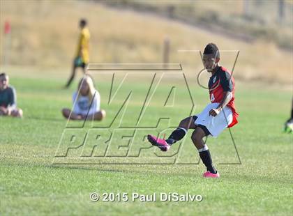 Thumbnail 1 in Rangeview @ Mountain Vista photogallery.
