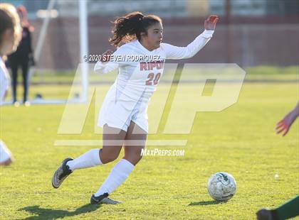 Thumbnail 3 in Ripon @ Manteca photogallery.